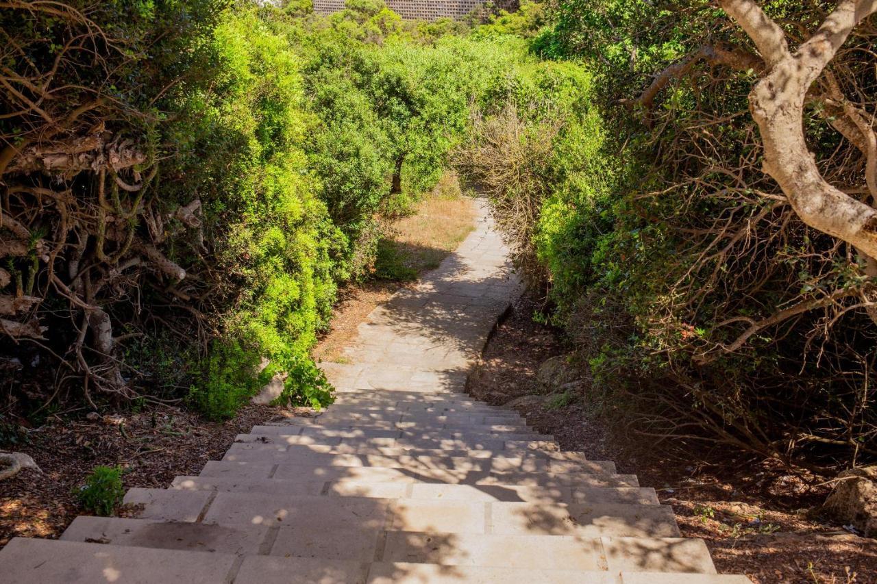 Villa Elfa Cala en Forcat Εξωτερικό φωτογραφία